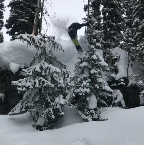 Meet your Posher, Louis - Picture 1 of 1